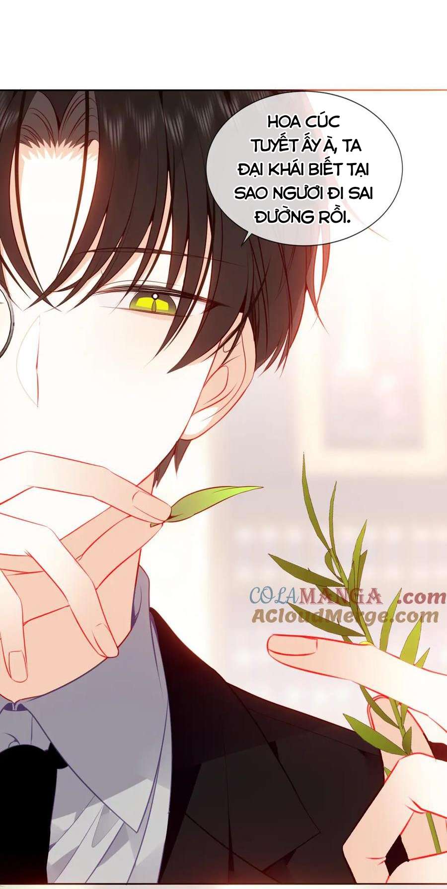 Quán Kịch Bản Trần Mộng Chapter 79 - Trang 4