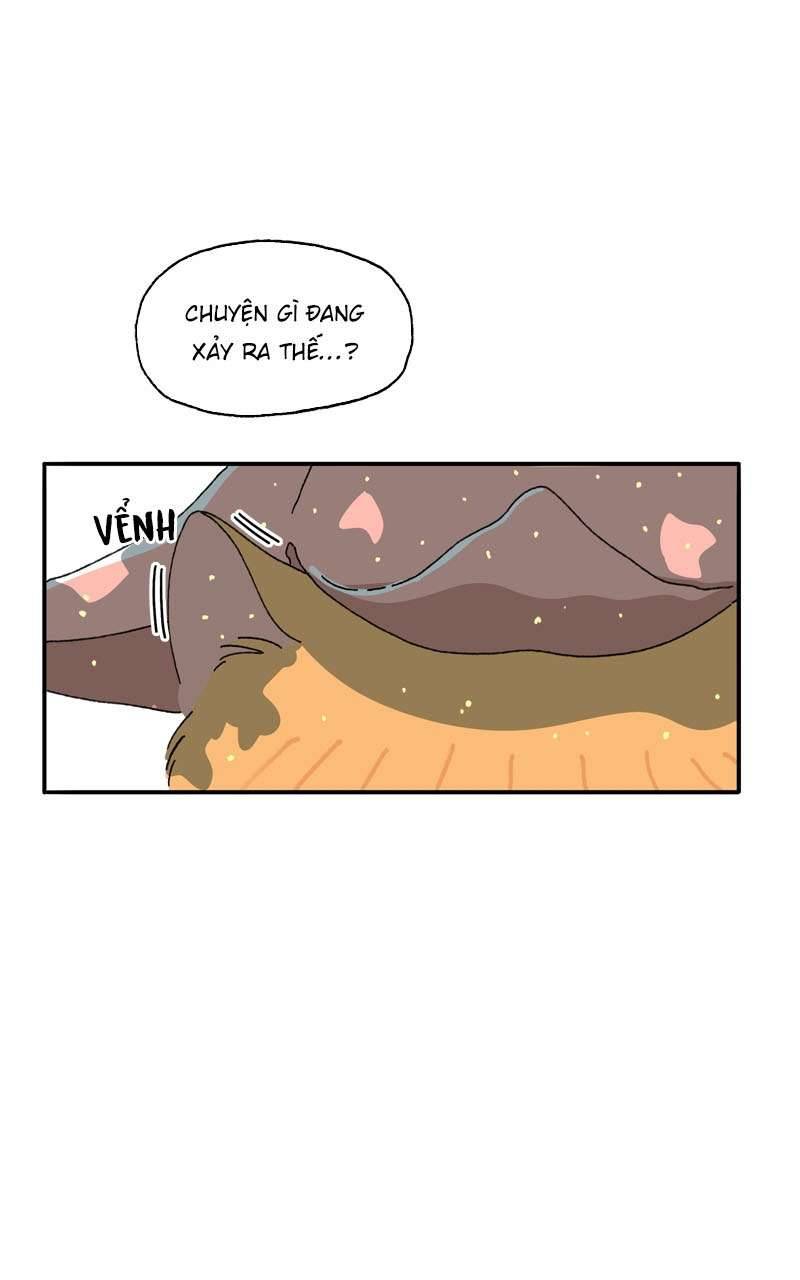 Chú Mèo Tata Chapter 2 - Next Chapter 3