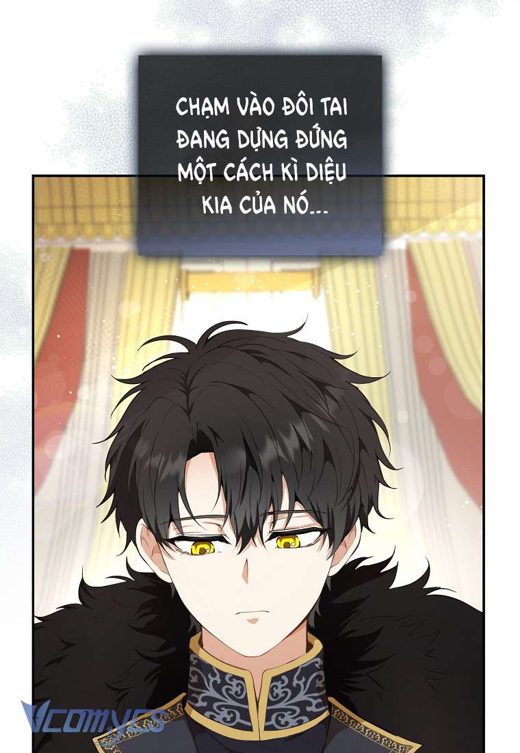 Sóc Con Tài Năng Chap 5 - Trang 2