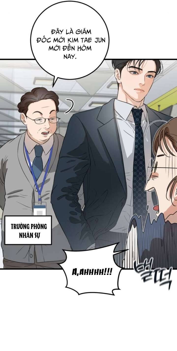 Tôi Nóng Lòng Muốn Chiếm Lấy Cô Ấy Chap 2 - Trang 3