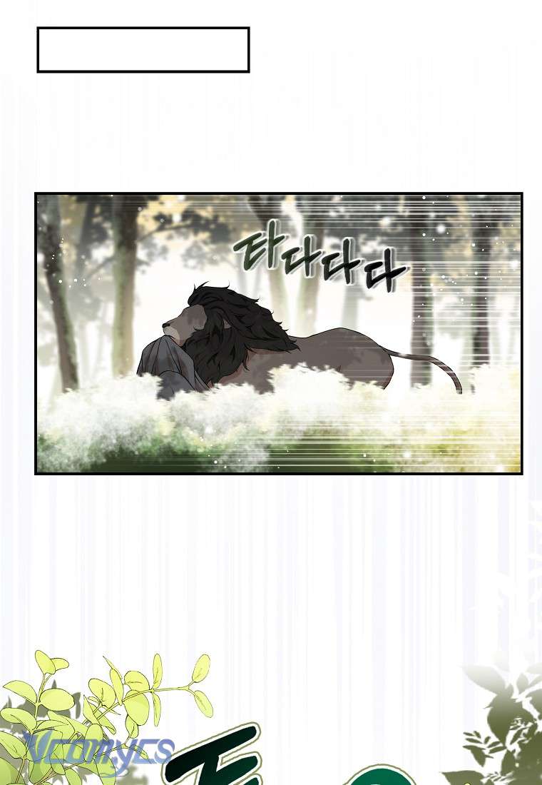 Sóc Con Tài Năng Chap 8 - Trang 2