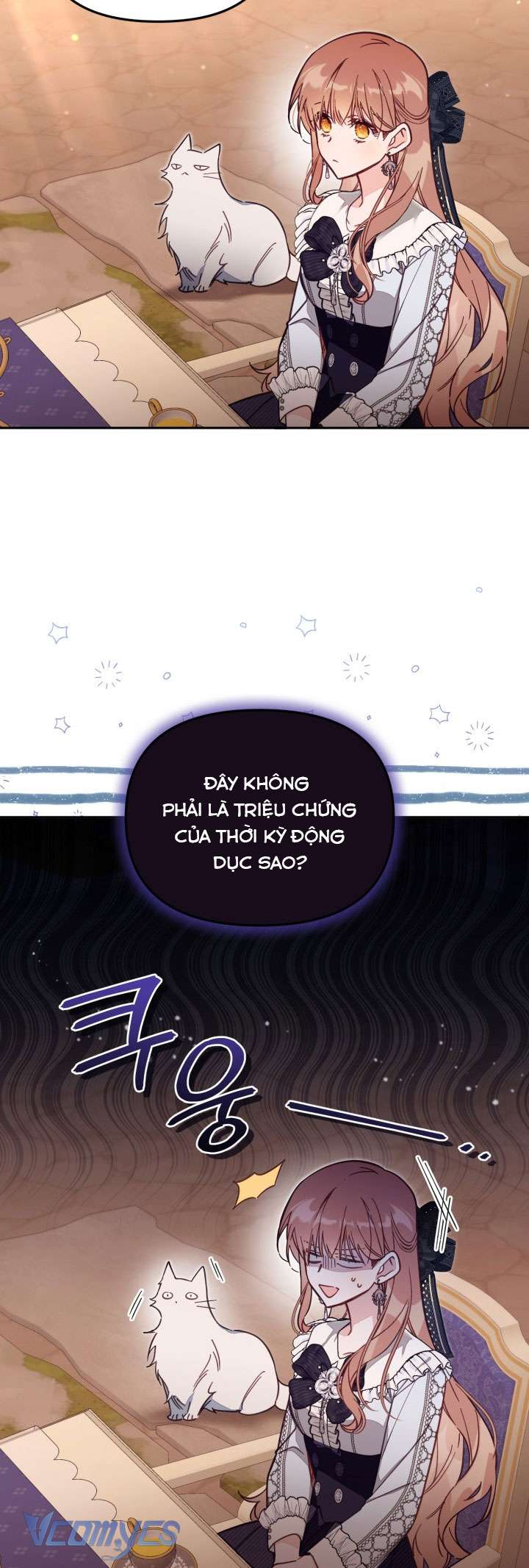 Không Có Chỗ Cho Kẻ Giả Mạo Chap 64 - Trang 2