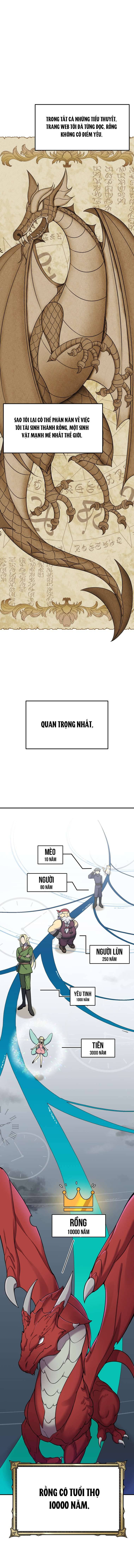 Quy tắc sống sót của con rồng sắp chết. Chap 1 - Trang 2