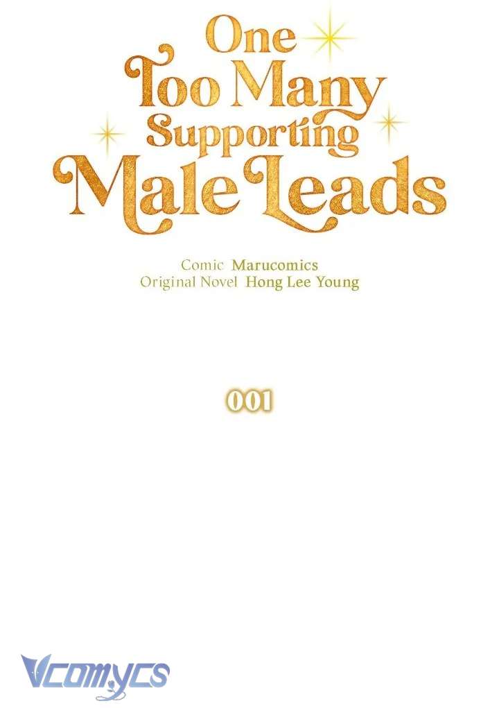 Có Nhiều Nam Phụ Quá Rồi Chap 1 - Trang 2