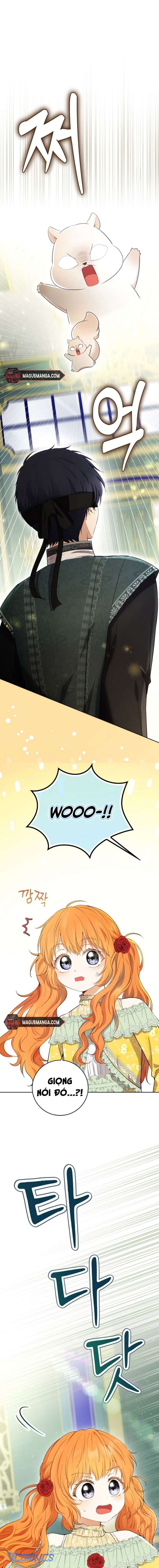 Sóc Con Tài Năng Chap 67 - Trang 2