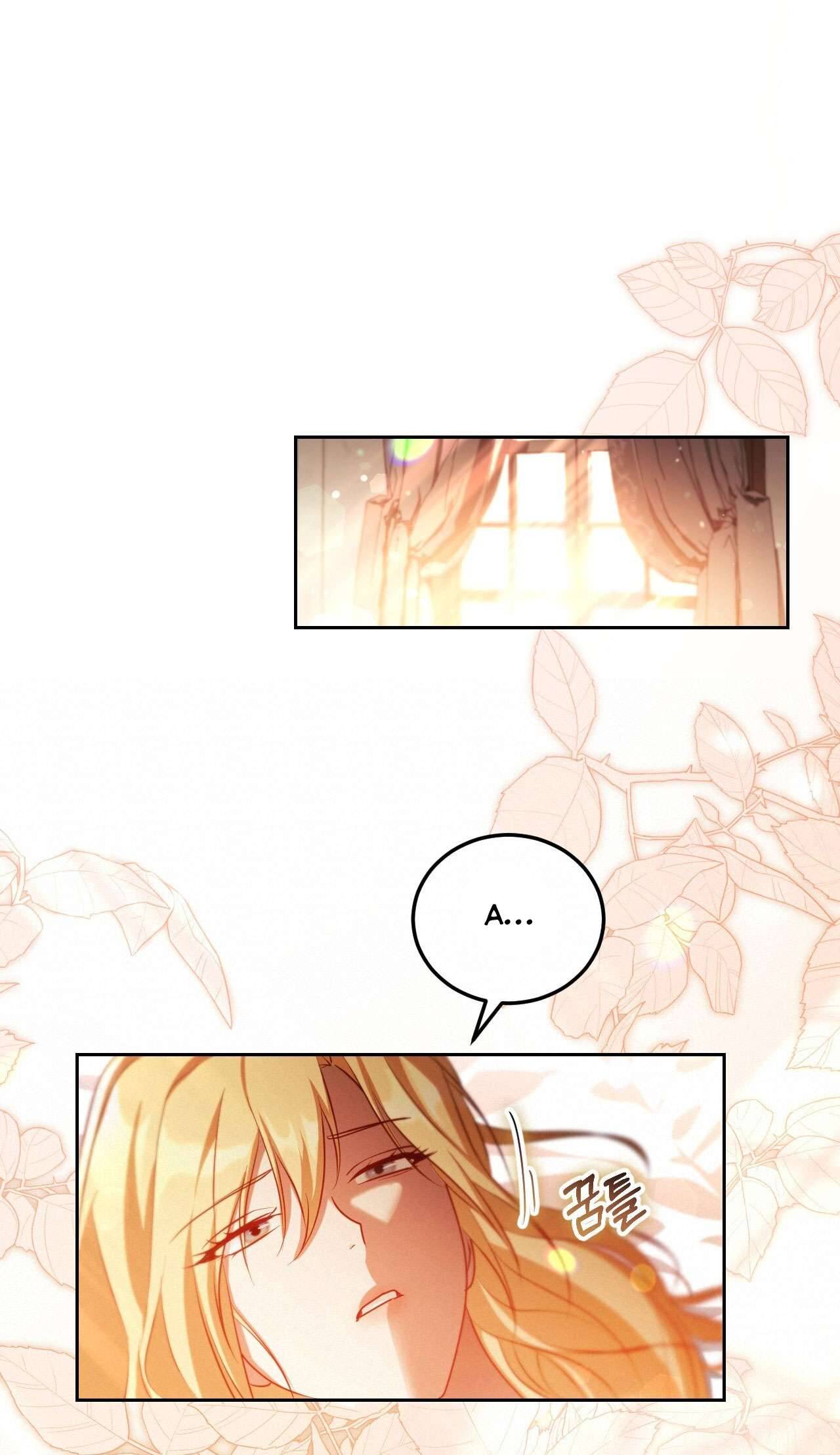 Thánh Nữ Giả Muốn Bỏ Trốn Chap 32 - Trang 4