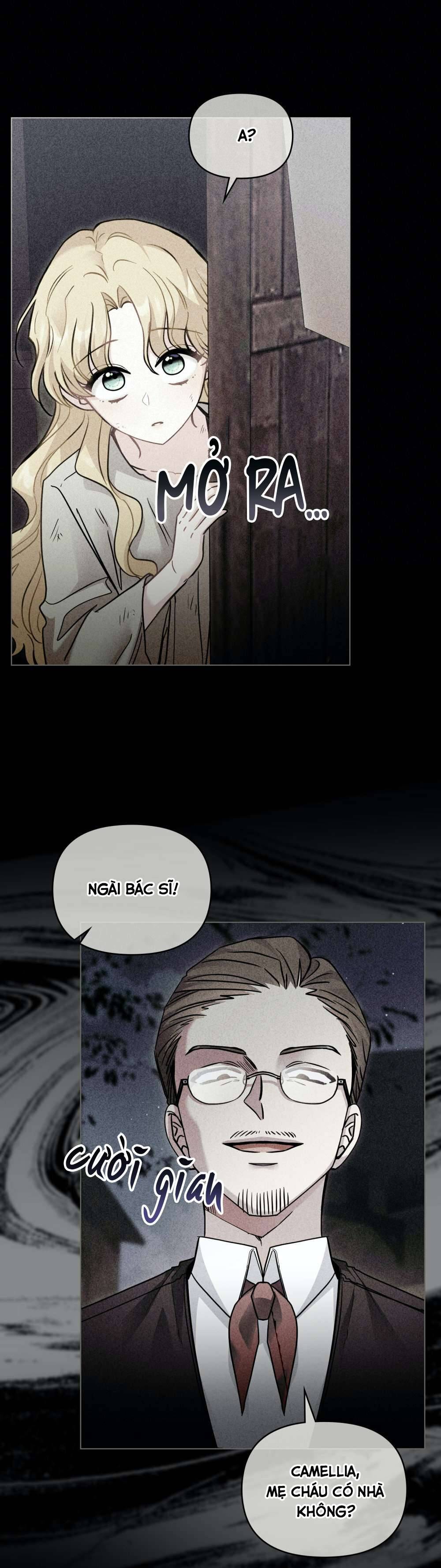 Tìm Lại Camellia Chapter 45 - Next Chapter 46