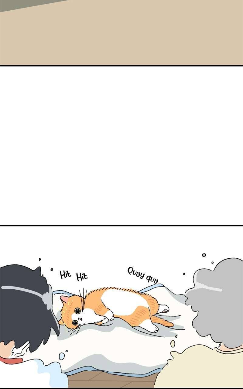 Chú Mèo Tata Chapter 3 - Next Chapter 4