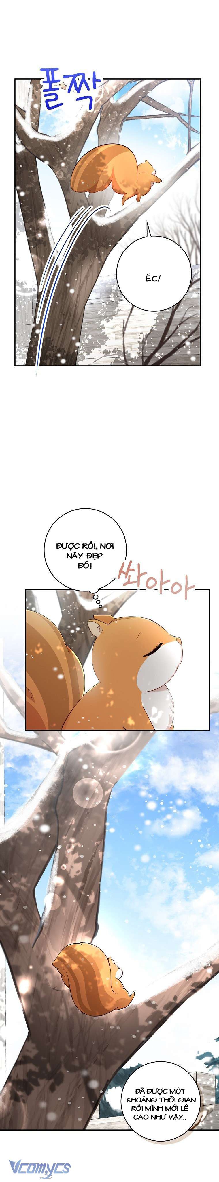 Sóc Con Tài Năng Chap 22 - Trang 2