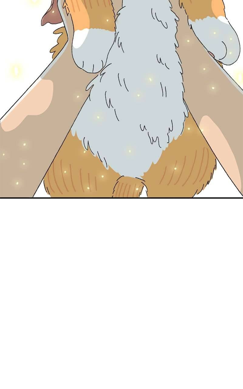 Chú Mèo Tata Chapter 2 - Next Chapter 3