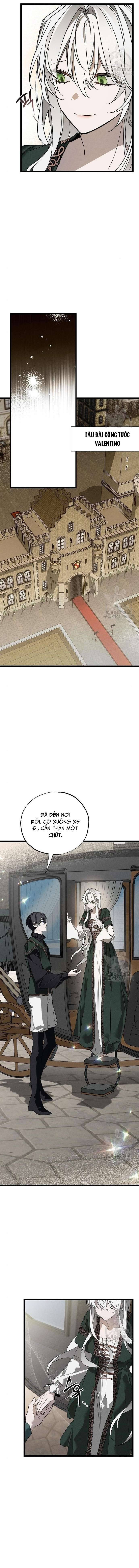 Vị Phu Quân Căm Ghét Tôi Đã Mất Trí Nhớ Chapter 4 - Trang 4