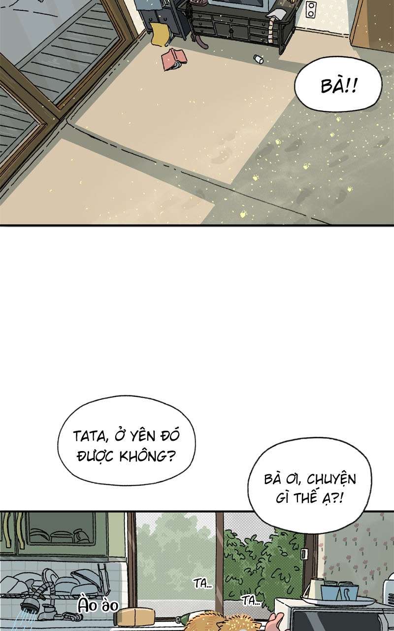 Chú Mèo Tata Chapter 3 - Next Chapter 4