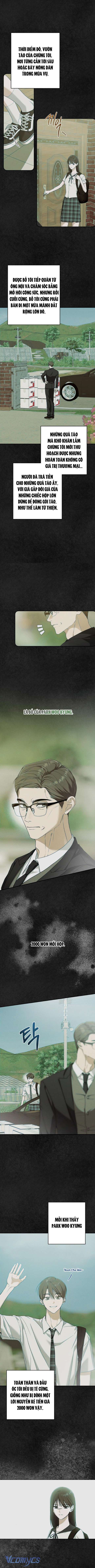 Bóng Râm Mùa Xuân Chapter 8 - Next Chap 9