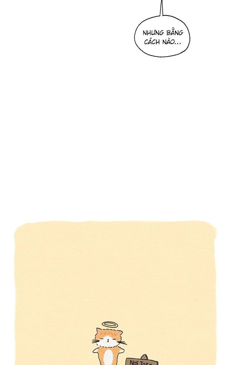 Chú Mèo Tata Chapter 3 - Next Chapter 4