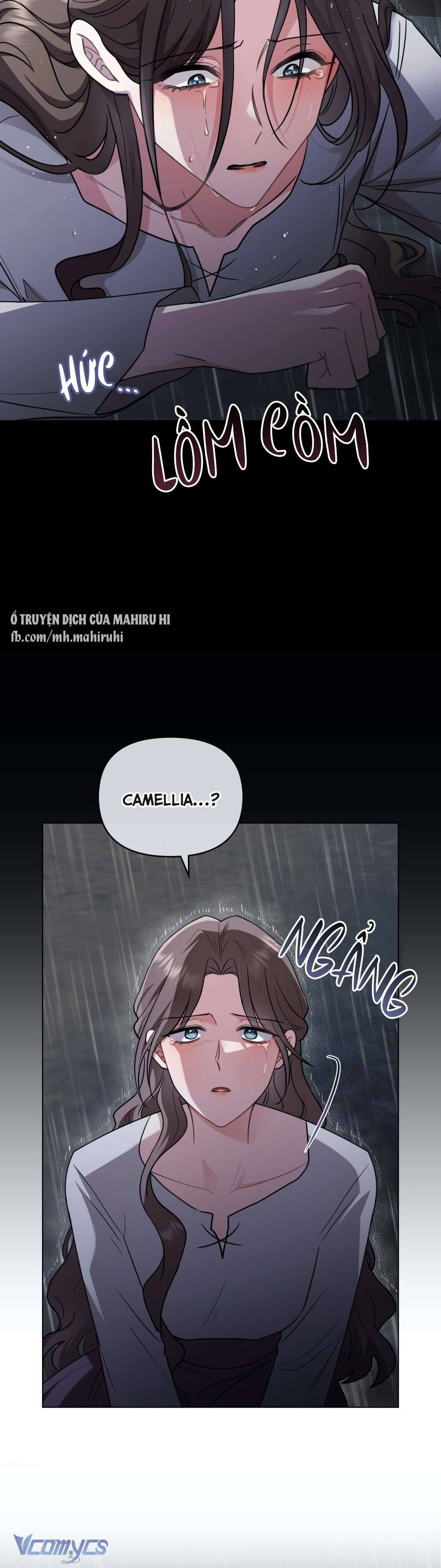 Tìm Lại Camellia Chapter 87 - Trang 4