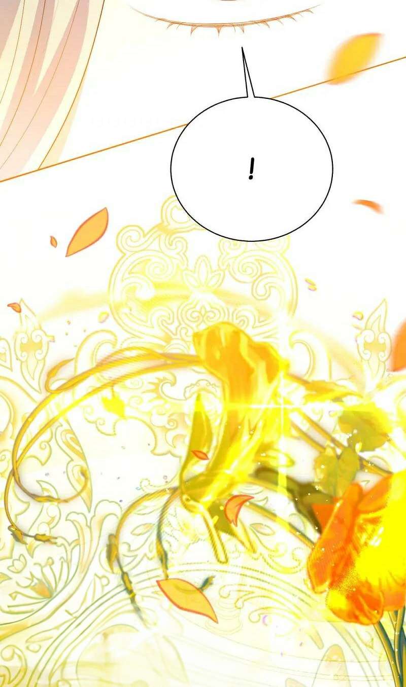 Một Ngày Nọ Bỗng Dưng Cha Xuất Hiện Chapter 72 - Trang 4