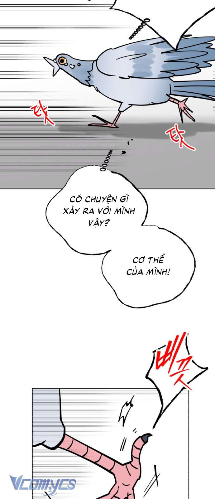 Bồ Câu Lee Heon-Seo Của Quận Seongbuk Chap 1 - Trang 2