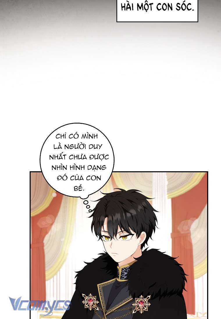 Sóc Con Tài Năng Chap 5 - Trang 2