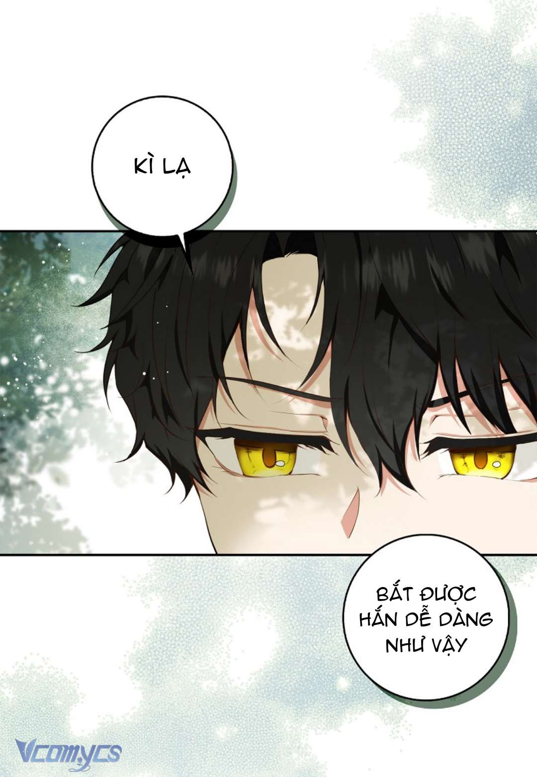 Sóc Con Tài Năng Chap 8 - Trang 2