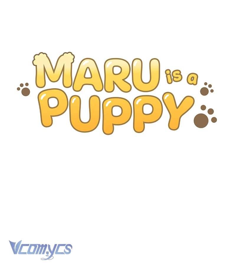 Bé Cún Maru Chap 4 - Trang 2