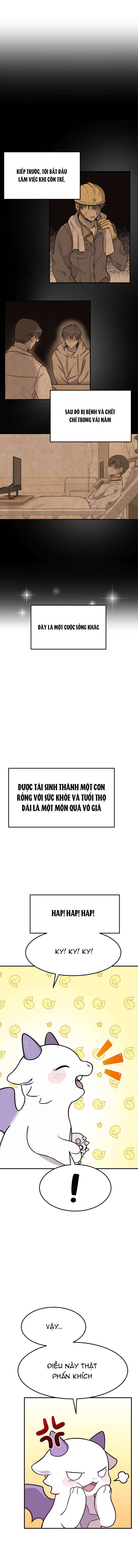 Quy tắc sống sót của con rồng sắp chết. Chap 1 - Trang 2