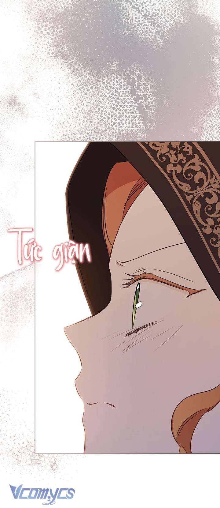 Kiếp Này Nhất Định Làm Gia Chủ Chap 126 - Trang 2