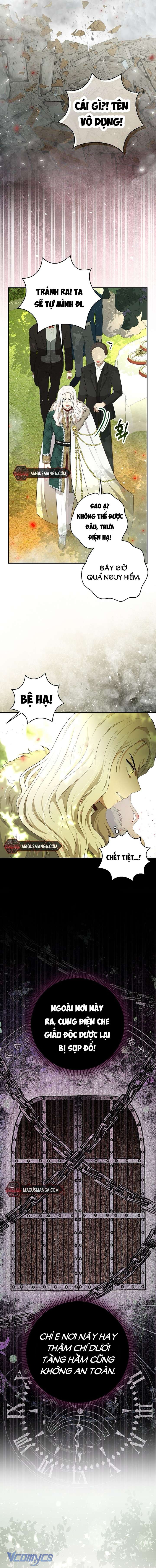 Sóc Con Tài Năng Chap 71 - Trang 2