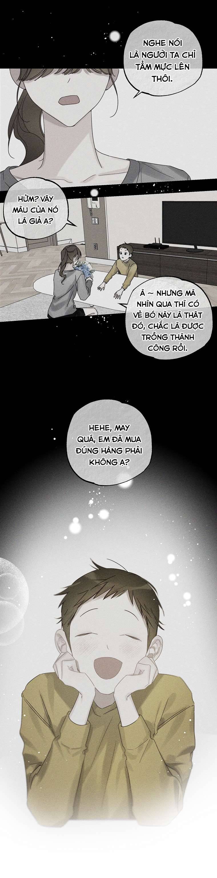 Trước Tiên Phải Giấu Em Trai Cái Đã! Chap 48 - Trang 2