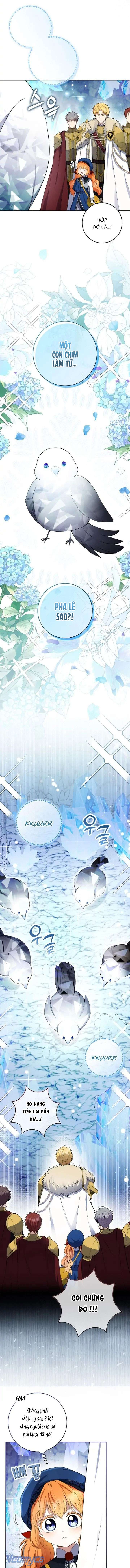 Sóc Con Tài Năng Chap 50 - Trang 2