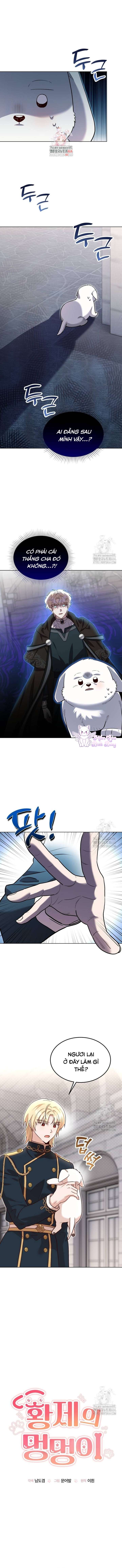 Chú Cún Cưng Của Hoàng Đế Chap 13 - Trang 4