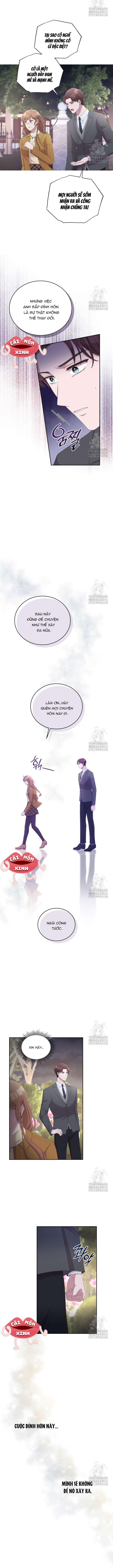 Món Khai Vị Một Đêm Chap 17 - Trang 4