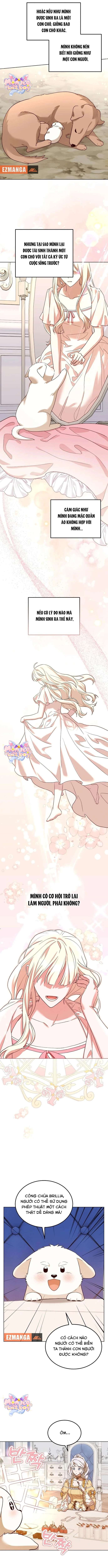 Chú Cún Cưng Của Hoàng Đế Chapter 10 - Trang 4