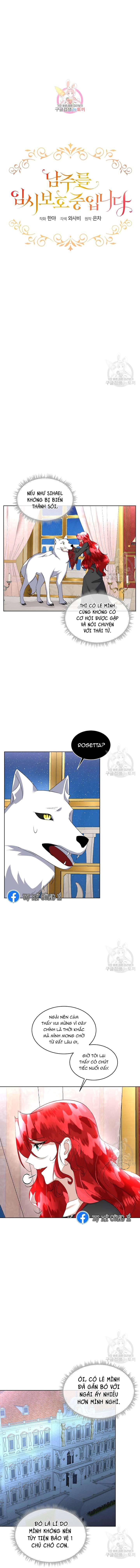 Tạm Thời Tôi Sẽ Bảo Vệ Nam Chính Chapter 23 - Trang 4