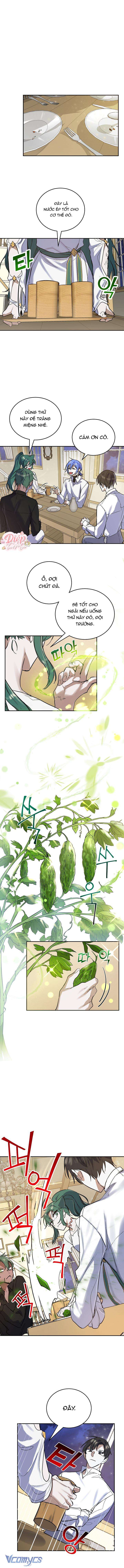 Phù Thủy Ẩm Thực Chap 12 - Trang 2