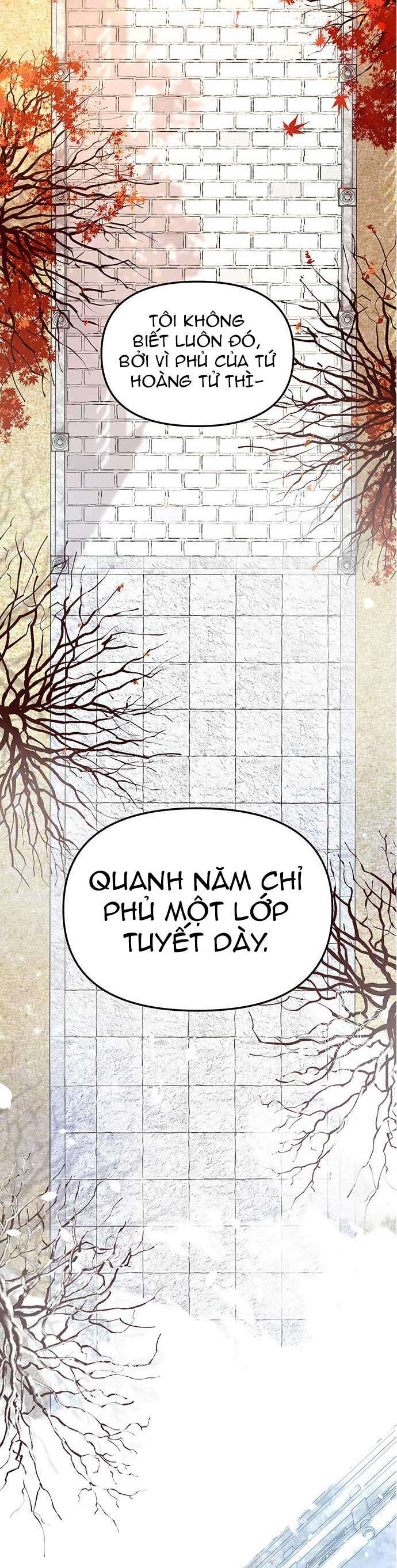 Vương Tử Huyền Bí Chapter 4 - Trang 4