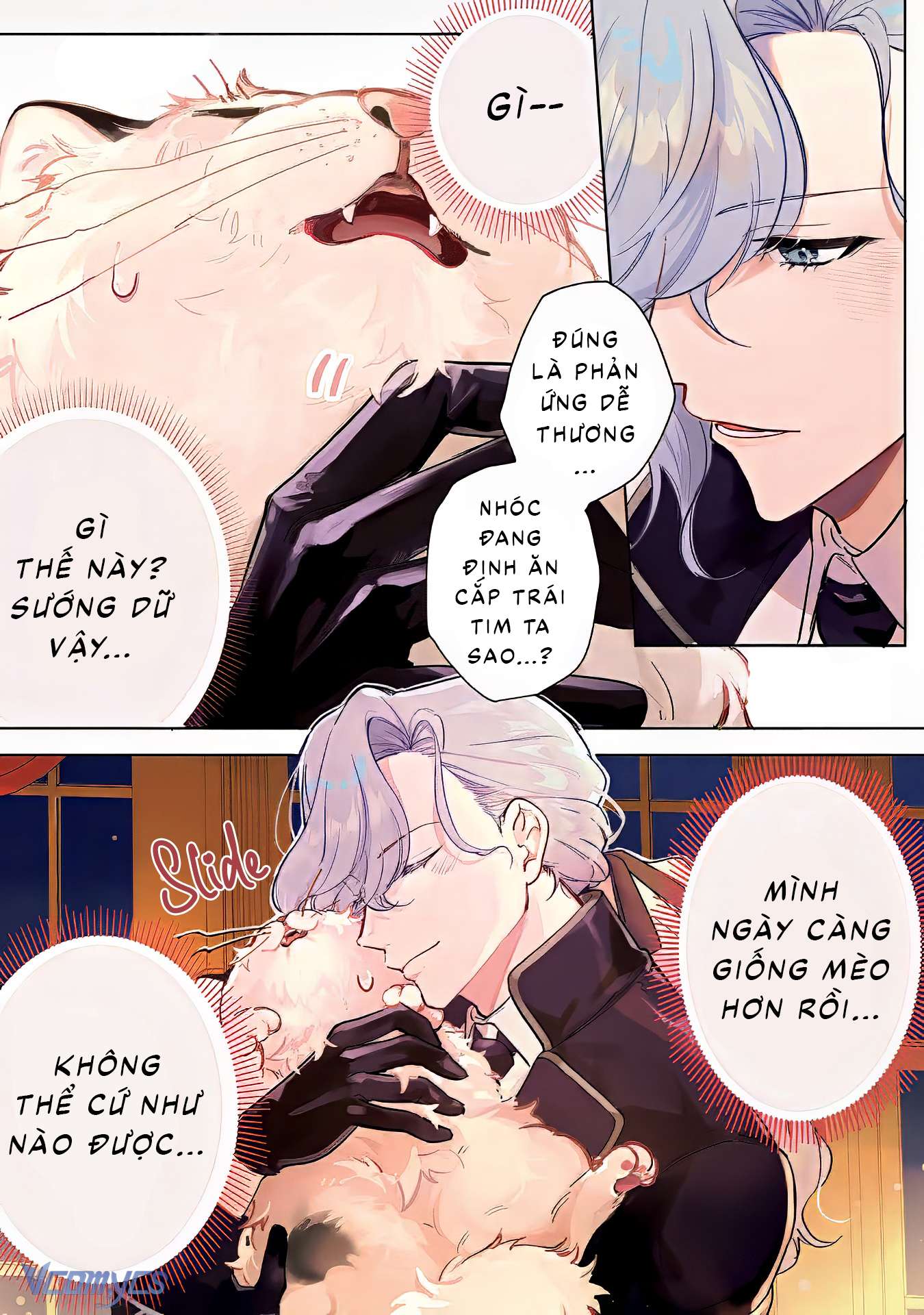 Nàng Tiểu Thư Bẽn Lẽn Bị Biến Thành Một Con Mèo Xấu Xí Nhưng Khi Bất Tỉnh Được Công Tước Sĩ Quan Mang Về Chap 1 - Trang 2