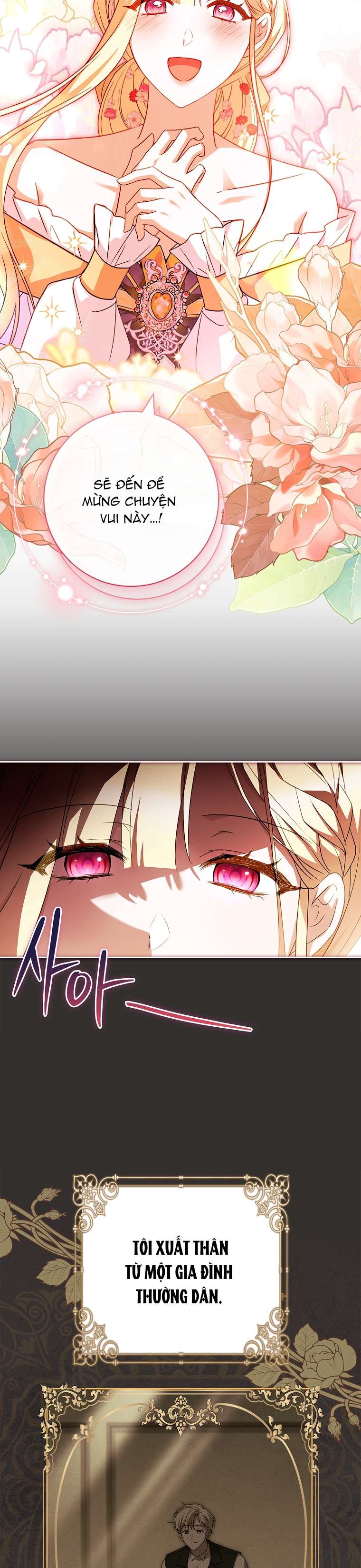 Chồng Ơi, Tại Sao Chúng Ta Không Thể Ly Hôn? Chap 28 - Trang 2