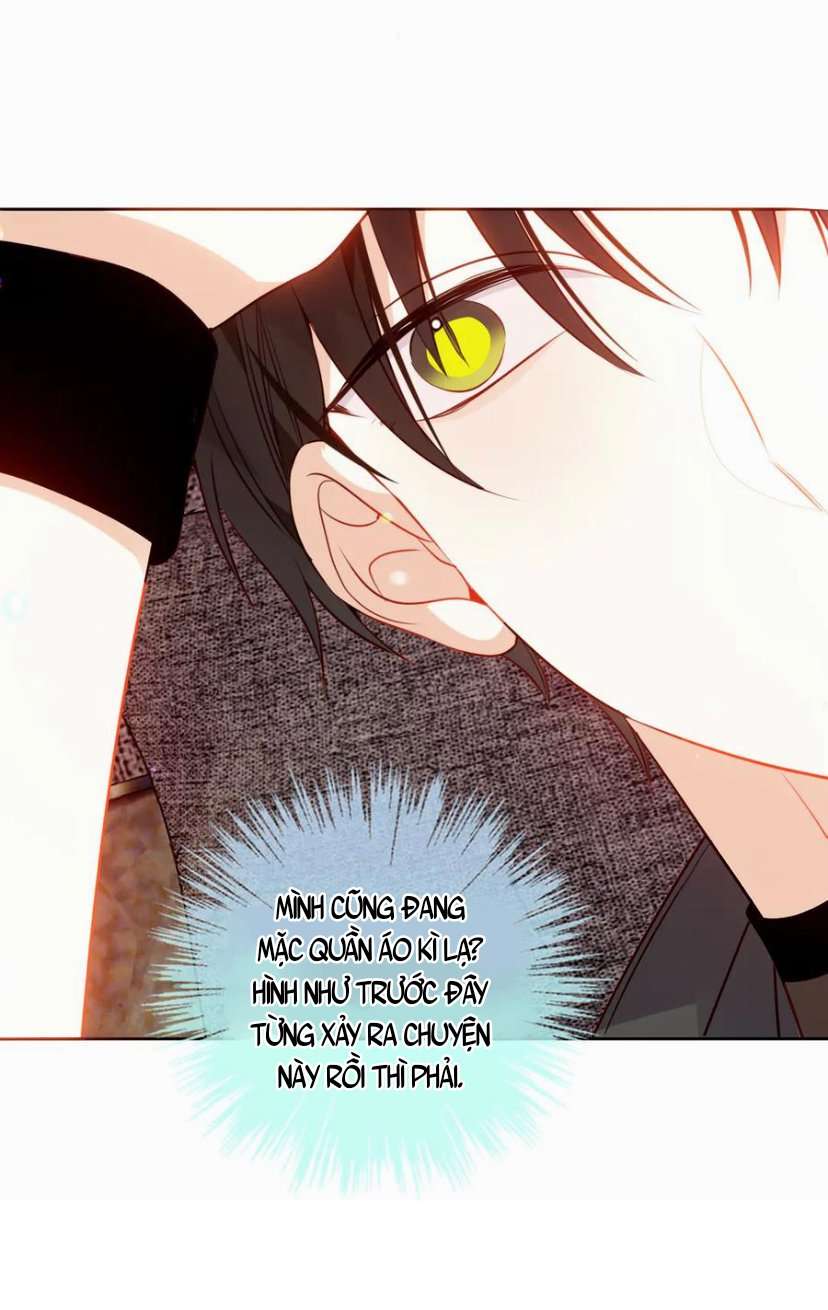 Quán Kịch Bản Trần Mộng Chapter 75 - Trang 4