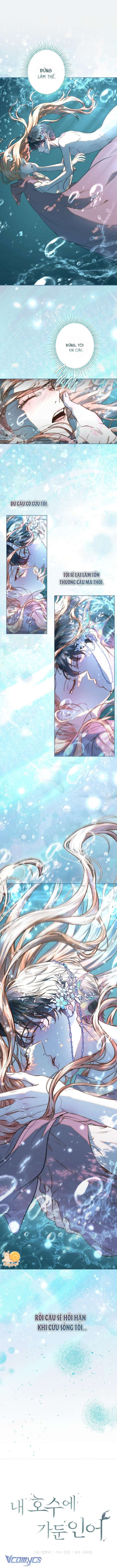 Chàng Tiên Cá Bị Giam Cầm Trong Hồ Nhà Tôi Chap 6 - Trang 3