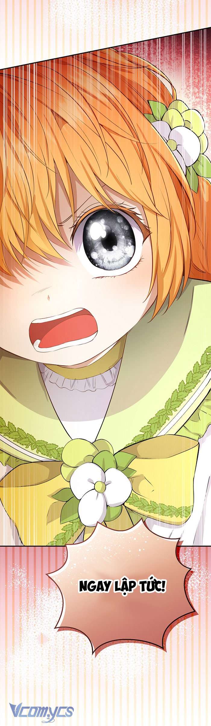 Sóc Con Tài Năng Chap 33 - Trang 2