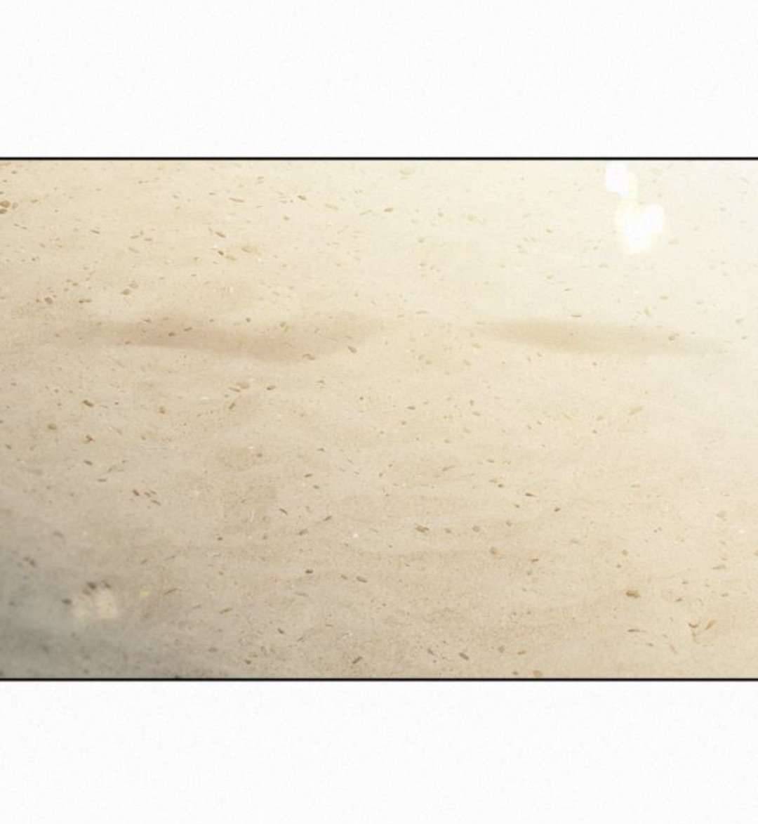 Chiến Lược: Tình Yêu Trong Sáng Chap 85 - Trang 2