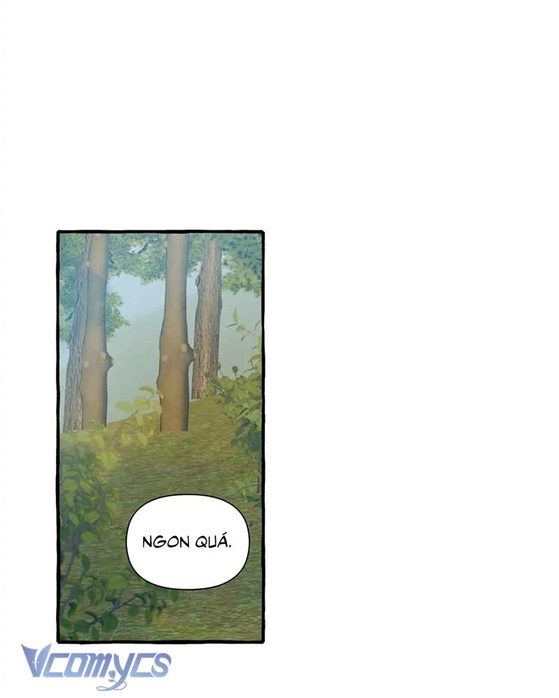 Chuyện Tình Hoa Lưu Ly Chapter 3 - Trang 3