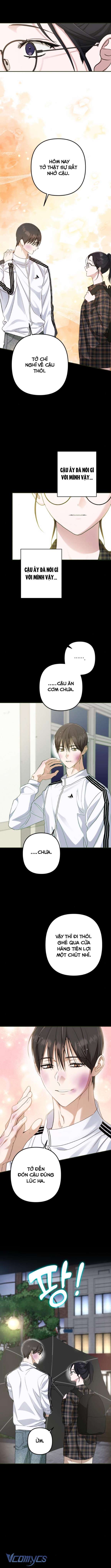 Bóng Râm Mùa Xuân Chapter 8 - Next Chap 9