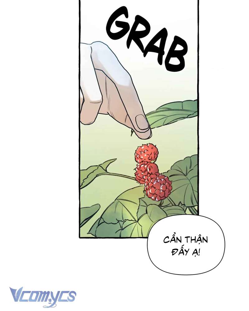 Chuyện Tình Hoa Lưu Ly Chapter 3 - Trang 3