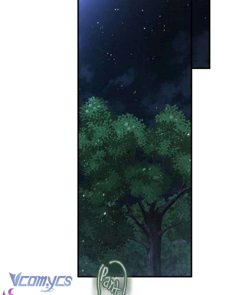 Các Nam Chính Đã Bị Nữ Phụ Cướp Mất Chap 36 - Trang 3