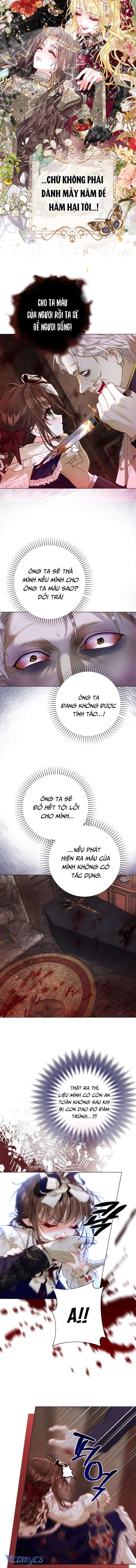 Một Thế Giới Không Có Chị Gái Mà Ai Cũng Yêu Chap 38 - Trang 4