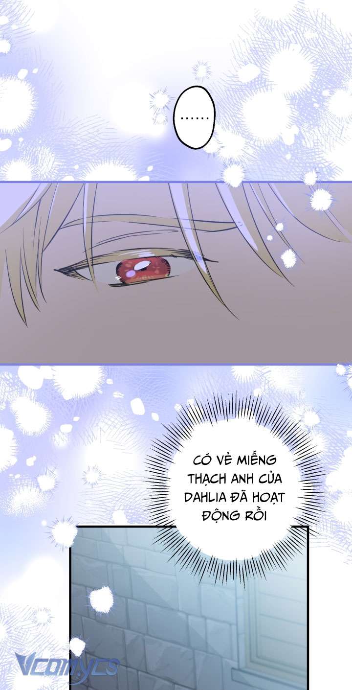 Những Nhân Vật Mạnh Nhất Thế Giới Ám Ảnh Tôi Chapter 69 - Trang 4