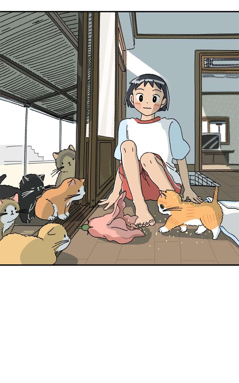 Chú Mèo Tata Chapter 3 - Next Chapter 4