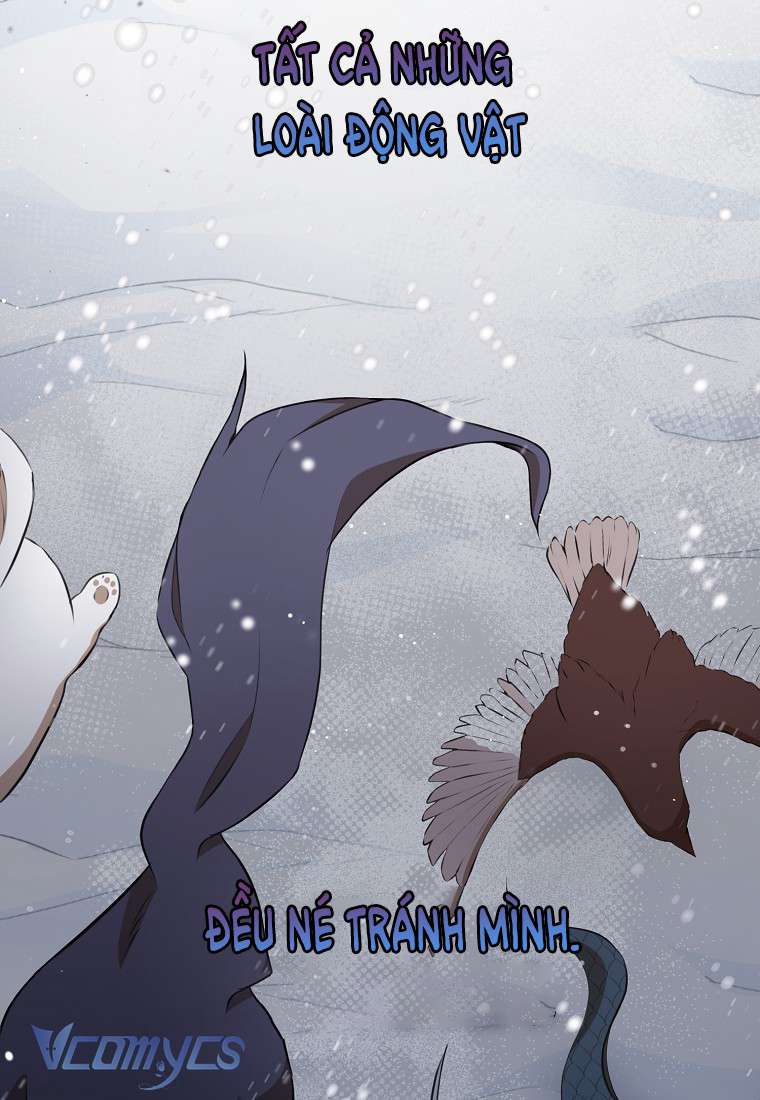 Sóc Con Tài Năng Chap 5 - Trang 2