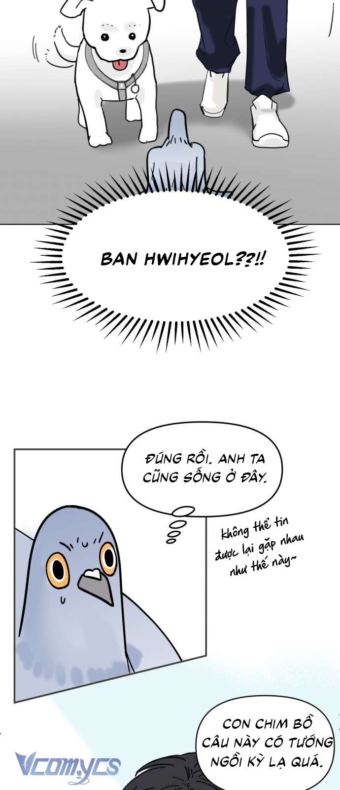 Bồ Câu Lee Heon-Seo Của Quận Seongbuk Chap 1 - Trang 2